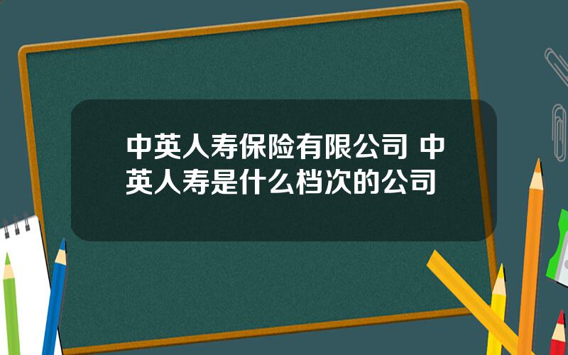 中英人寿保险有限公司 中英人寿是什么档次的公司